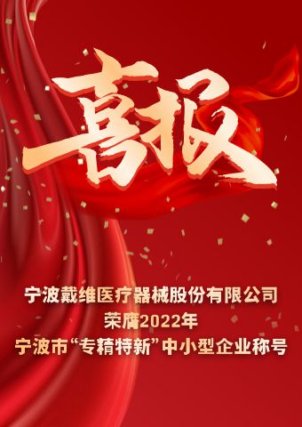 David_2022 Innovative and Specialized Small and Medium-sized Enterprise in Ningbo